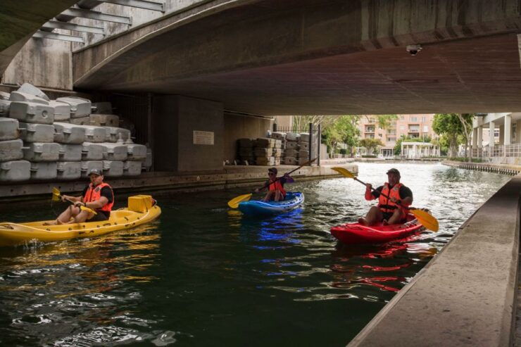 Cape Town: Day or Night Guided Kayak Tour in Battery Park - Tour Details