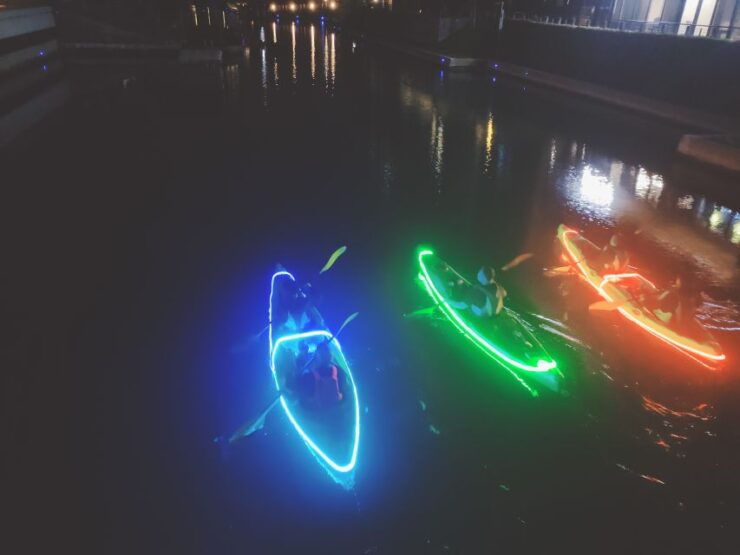Cape Town: Day or Night Guided Kayak Tour in Battery Park - Booking Information