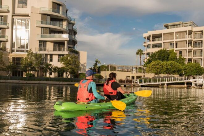 Cape Town: Day or Night Guided Kayak Tour in Battery Park - Additional Information