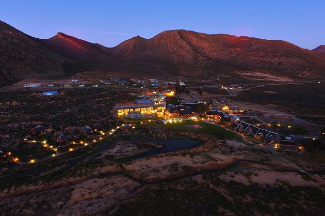 Cape Town Day Safari - South Africas Wildlife Paradise