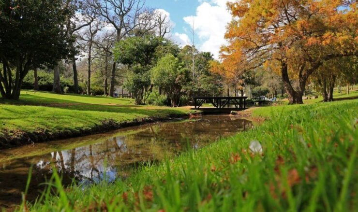 Cape Town for Children: Family Tour - Tour Details