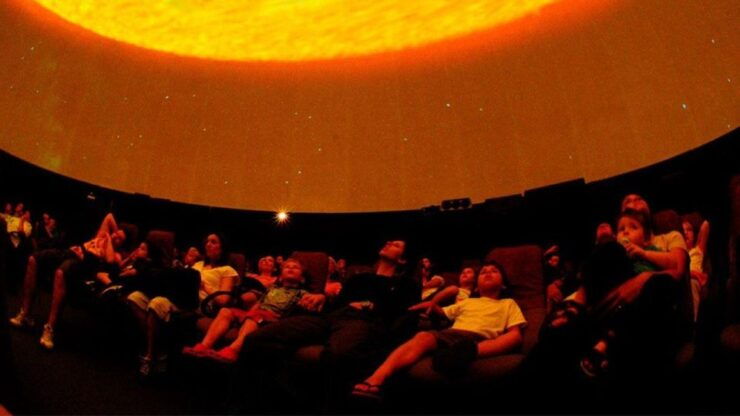 Cape Town for Children: Family Tour - Experience