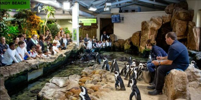 Cape Town for Children: Family Tour - Inclusions