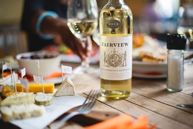 Cape Town Full Day Family Fun With Kids Private Tour - Opportunities to Feed Giraffes and Visit an Aquarium