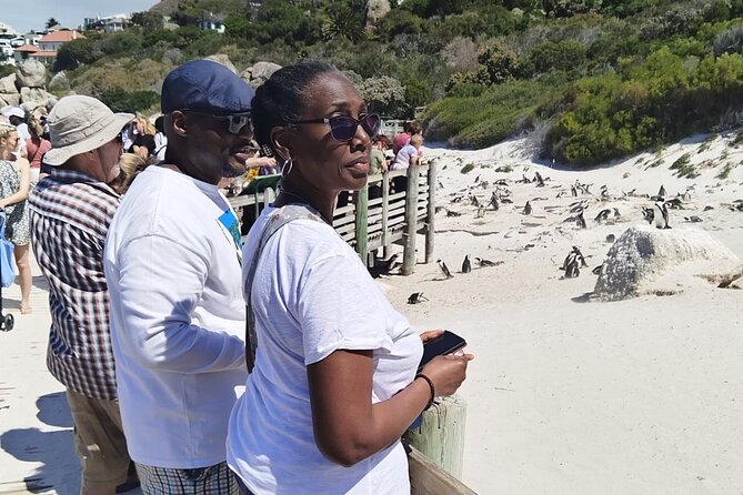 Cape Town Full-Day Private Tour With Table Mountain - Additional Tips