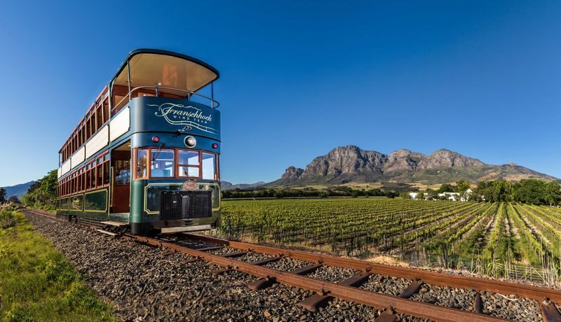 Cape Town Full-Day Wine Tasting & Tram Experience with Guided Tour - What to know before you book