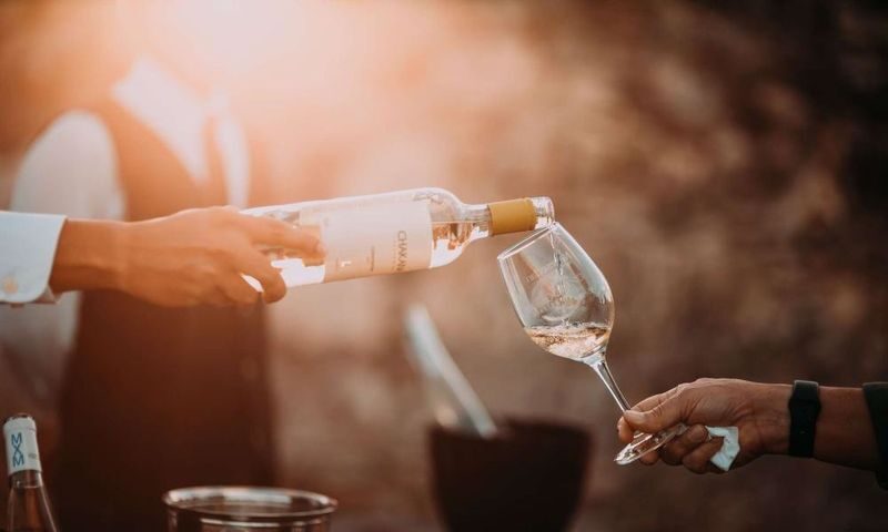 Cape Town Full-Day Wine Tasting & Tram Experience with Guided Tour - Is $131.09 good value?