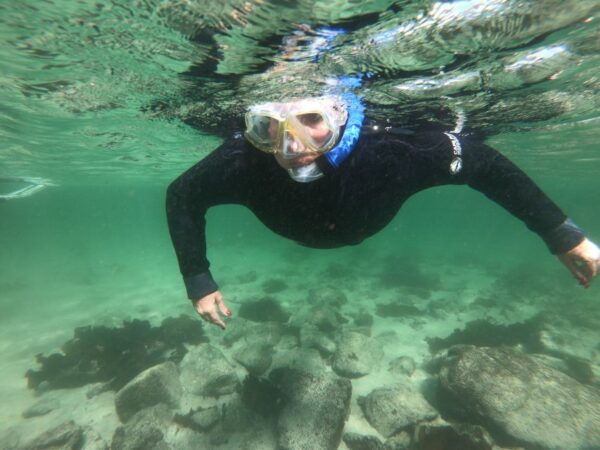 Cape Town: Great African Sea Forest Guided Snorkel - Frequently Asked Questions