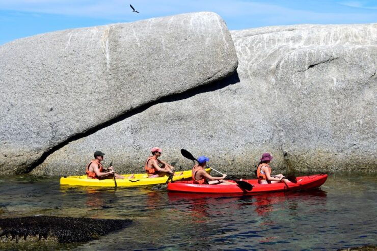 Cape Town: Guided Kayak Tour of Clifton Beaches & The Coast - Experience Highlights