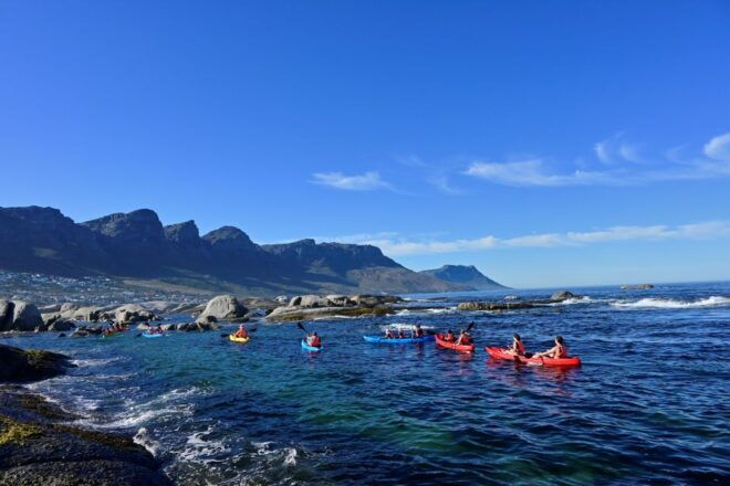 Cape Town: Guided Kayak Tour of Clifton Beaches & The Coast - Frequently Asked Questions