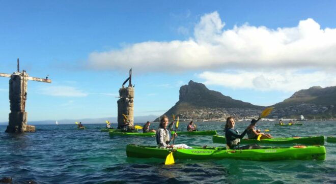 Cape Town: Guided Kayaking in Hout Bay - Booking Information
