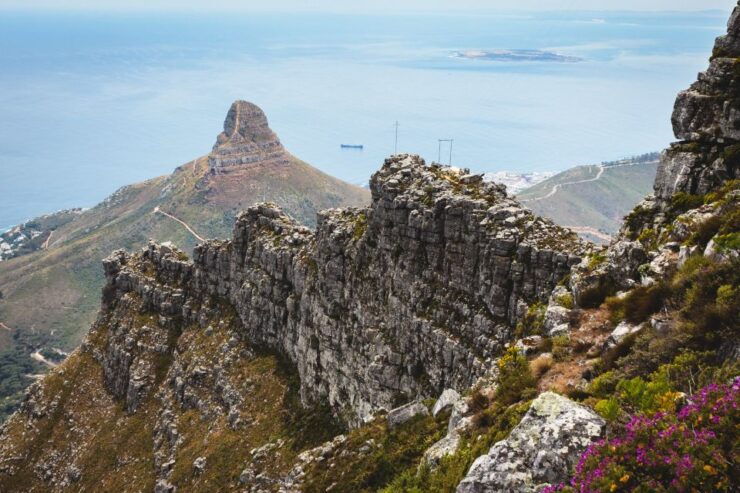 Cape Town: Half-Day India Venster Hike on Table Mountain - Tour Overview