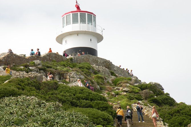 Cape Town Half Day Tour - Tour Itinerary