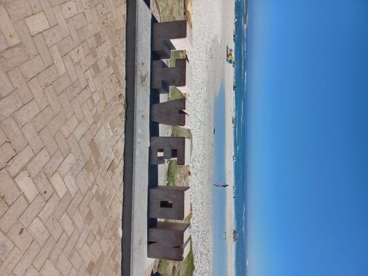 Cape Town: Halfday African Penguin Tour - Important Information