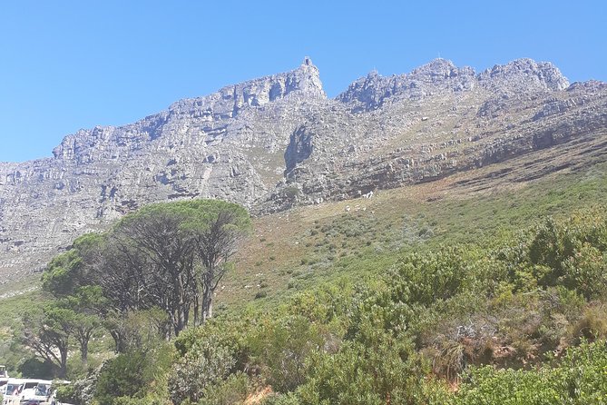 Cape Town Halfday City and Table Mountain Tour - Questions and Information