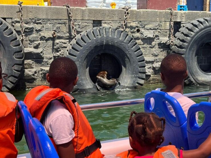 Cape Town: Harbor Cruise - Experience