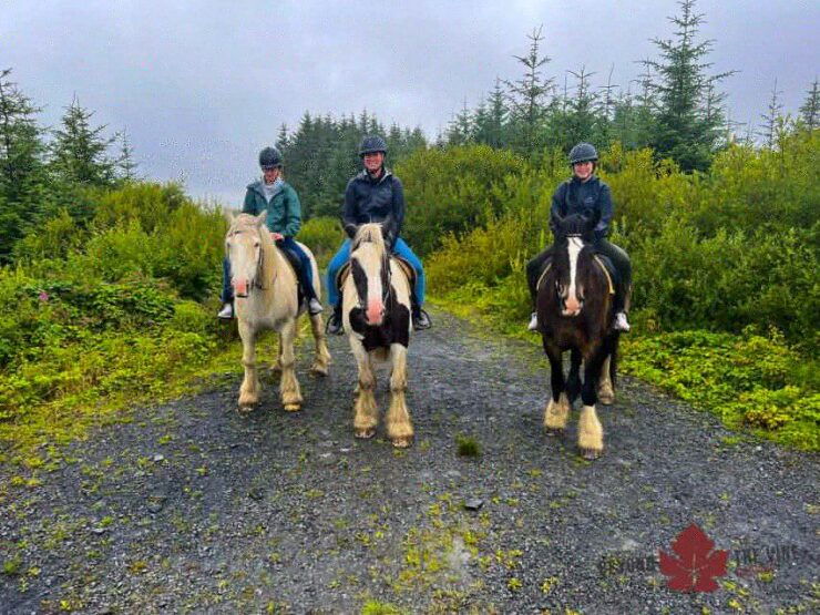 Cape Town: Horse Riding Experience - Activity Overview