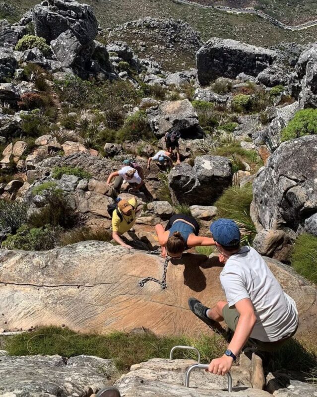 Cape Town India Venster Hiking Trail Half-Day Hiking Tour - Is $86.40 good value?