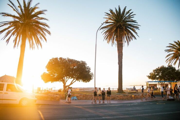Cape Town: Introductory City Tour by Foot and Minibus - Group Size and Highlights