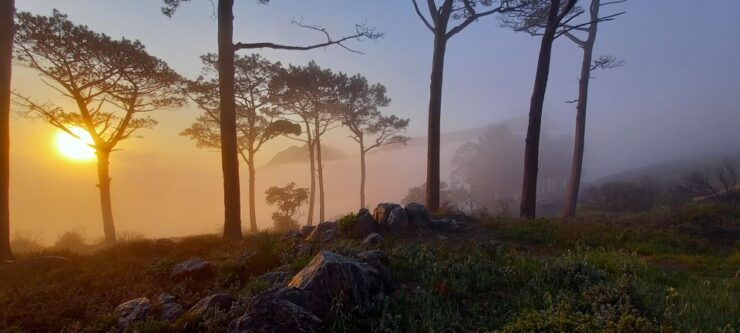 Cape Town: Lions Head and Signal Hill Morning Trail Run - Experience Highlights