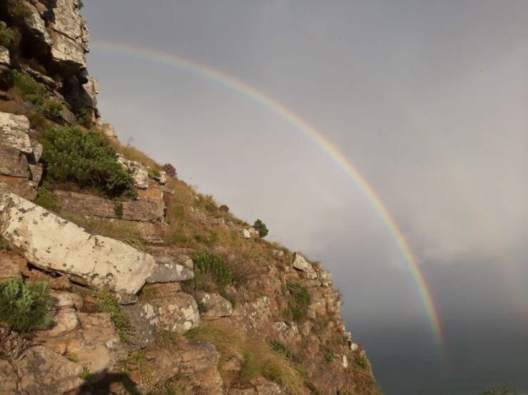 Cape Town: Lions Head Sunrise or Sunset Hike - Activity Details