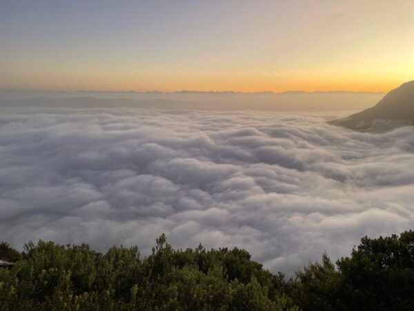 Cape Town: Lions Head Sunrise & Sunset Guided Hike - The Sum Up