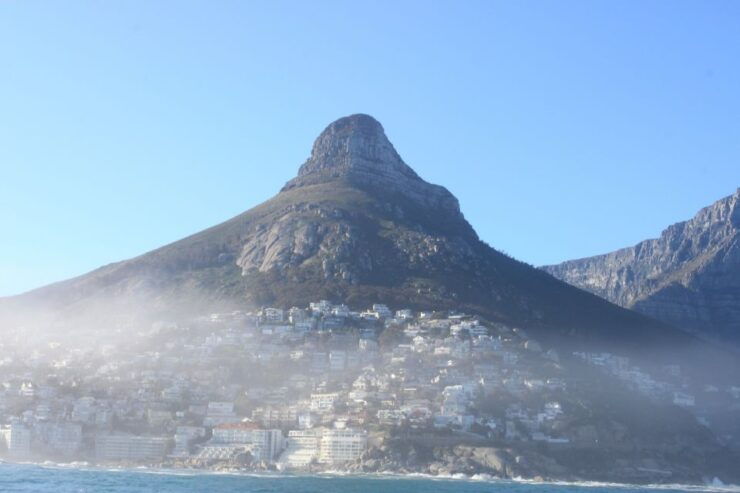 Cape Town: Marine Big 5 Ocean Safari From V&A Waterfront - Inclusions