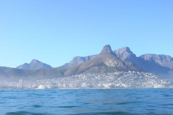 Cape Town: Marine Big 5 Ocean Safari From V&A Waterfront - Customer Reviews