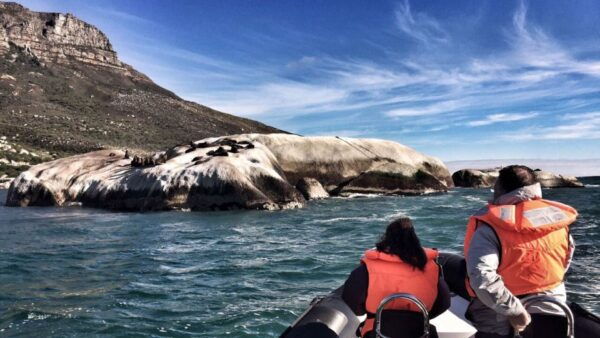 Cape Town: Marine Big 5 Ocean Safari From V&A Waterfront - Directions