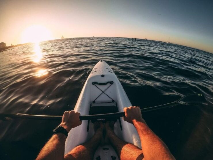 Cape Town: Marine Life Kayak Tour From the V&A Waterfront - Tour Details