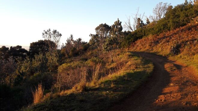 Cape Town: Mountain Bike Table Mountain to Constantia - Additional Directions