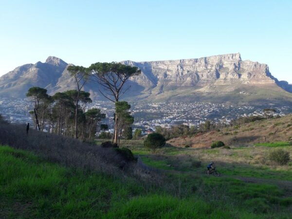 Cape Town: Mountain Bike Table Mountain to Constantia - Directions