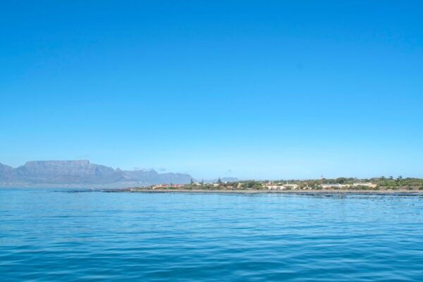 Cape Town: Penguin Watching at Boulders Beach Half Day Tour - The Sum Up