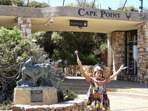 Cape Town: Penguins & Cape of Good Hope Half Day Shared Tour - Pricing and Inclusions