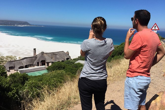 Cape Town Peninsula Day Tour ( Cape Point/Boulders/Wine Tasting) - Tour Highlights