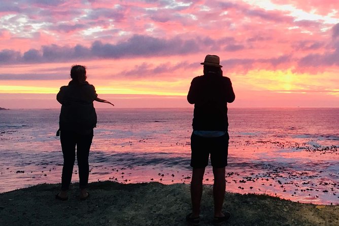 Cape Town Peninsula Day Tour ( Cape Point/Boulders/Wine Tasting) - Tour Inclusions