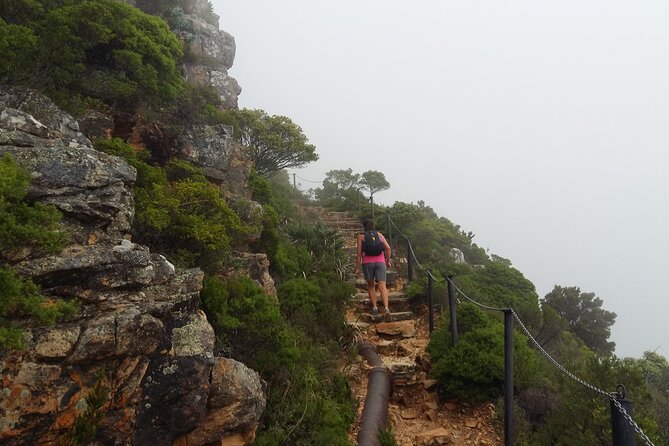 Cape Town: Pipetrack Hike for the Whole Family on Table Mountain - Overview of the Pipetrack Hike