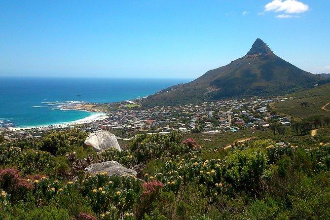 Cape Town: Pipetrack Hike for the Whole Family on Table Mountain - Important Information and Safety Guidelines