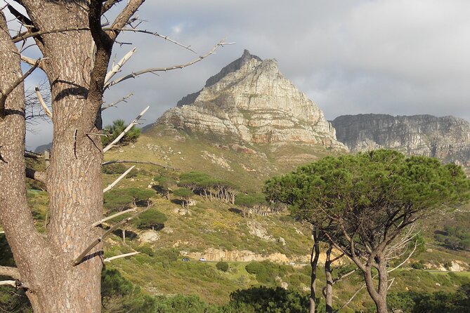 Cape Town: Pipetrack Hike for the Whole Family on Table Mountain - Traveler Reviews and Ratings