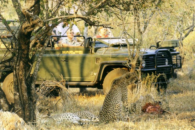 Cape Town Private, Aquila Safari Full Day Tour - Tour Inclusions and Accessibility