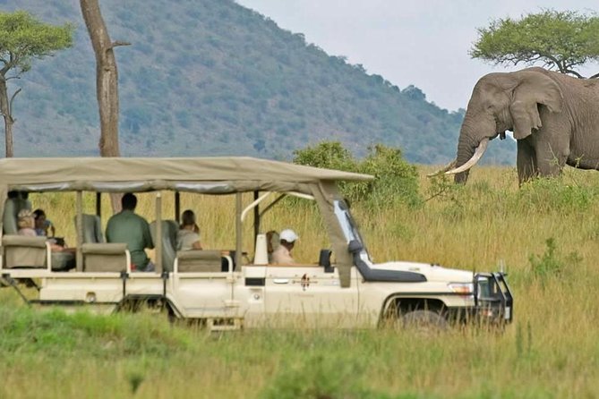 Cape Town Private - Best of Aquila Safari Tour - Admission Ticket and Private Tour
