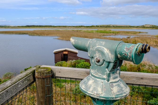 Cape Town Private Birding Tour - Guides Expertise and Knowledge