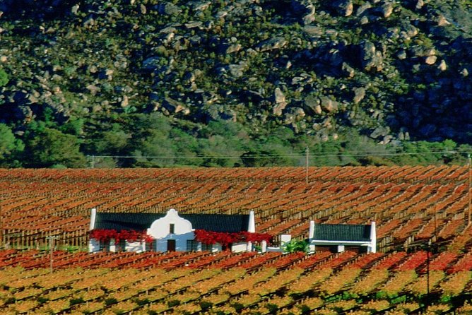 Cape Town Private - Stellenbosch Wine Tasting Tour - Tour Duration and Inclusions