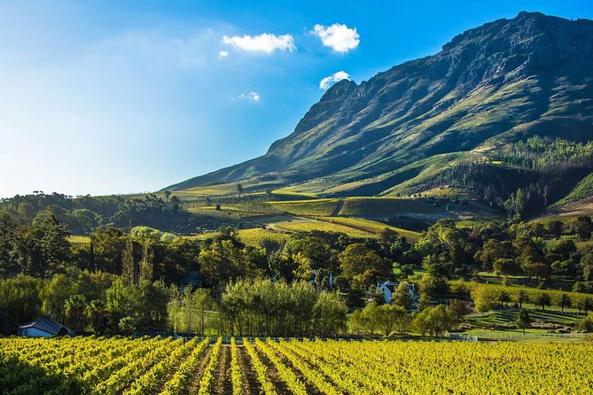 Cape Town, Private Tour- Table Mountain & Constantia Wine Testing - Cancellation Policy and Refunds