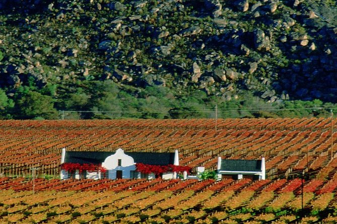 Cape Town Private, Wine Tasting Tour - Tour Highlights