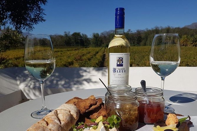 Cape Town Private, Wineland Tasting Tour - Wine Tasting Experiences