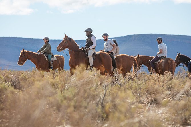 Cape Town Safari Big 5 Experience All Inclusive - Overview of Aquila Game Reserves