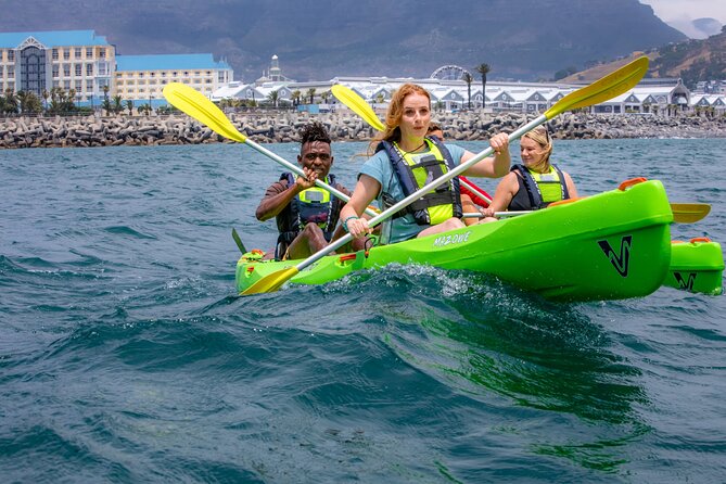 Cape Town Sea Kayaking Adventure Launching From V&A Waterfront - Overview and Experience