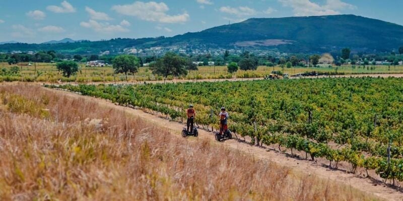 CAPE TOWN: SEGWAY FUN RIDE IN PAARL FREEDOM 301 WITH WILDX - Good To Know