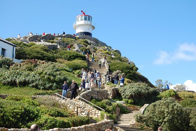 Cape Town Shore Excursion: Private Small Group Cape Peninsula - Highlights of the Cape Peninsula Excursion